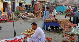 أسعار الخضروات والفاكهة نجع حمادي