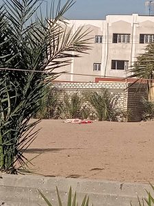 جثة قرية القصر في نجع حمادي