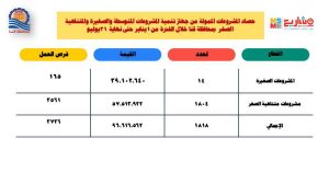 حصاد المشروعات الصغيرة ومتناهية الصغر في قنا