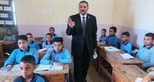 الدكتور عفت محمد وزيري