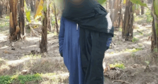 المتهم