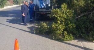 إنارة طريق قنا–الأقصر الزراعي