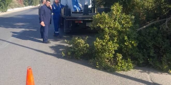 إنارة طريق قنا–الأقصر الزراعي