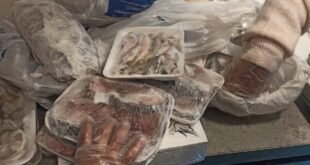 الأغذية الفاسدة