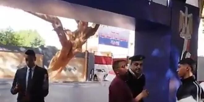 انتخابات مجلس النواب بقنا