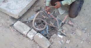 فصل الكهرباء والمياه عن المتقاعسين عن سداد مستحقات أملاك الدولة بقرية هو