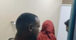 الفيديو المتداول