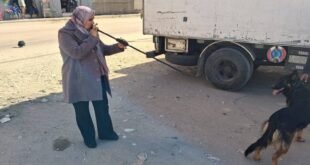 تحصين الكلاب بقنا