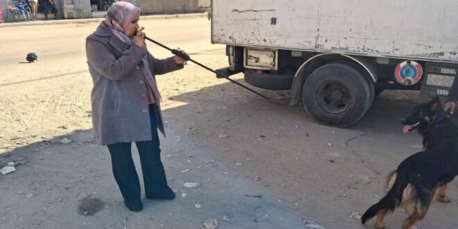 تحصين الكلاب بقنا