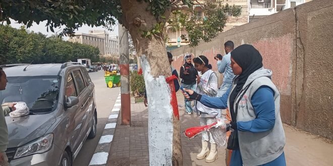 مبادرة "بإيدينا هنجملها" في نجع حمادي