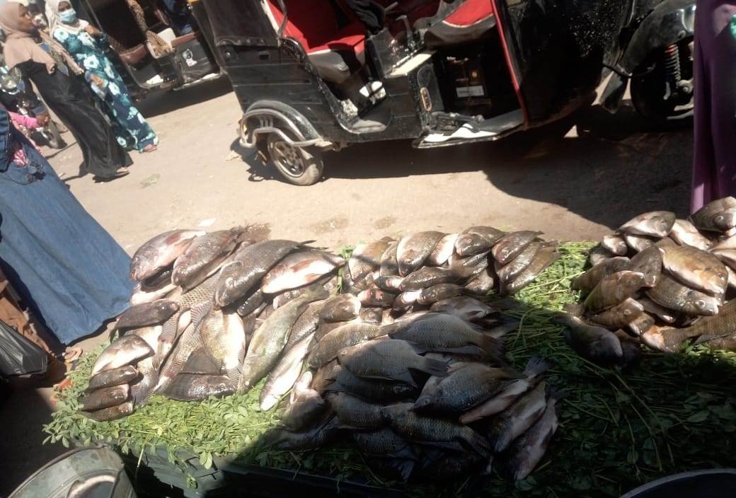 أسعار الأسماك في نجع حمادي