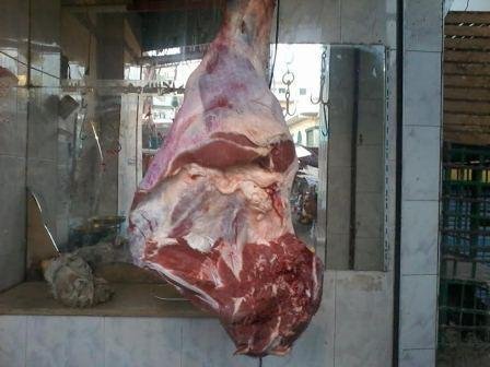 أسماك فاسدة