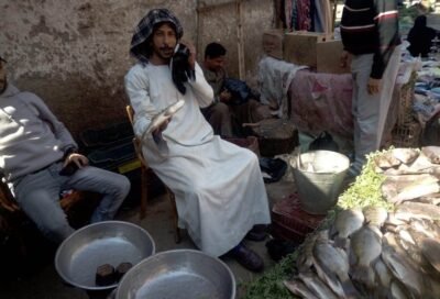 أسعار الأسماك