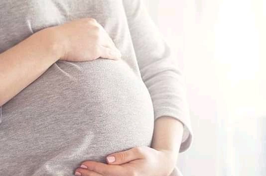 الحمل - صورة ارشيفية حامل