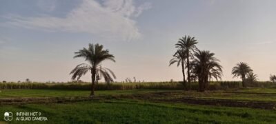 حالة الطقس في نجع حمادي