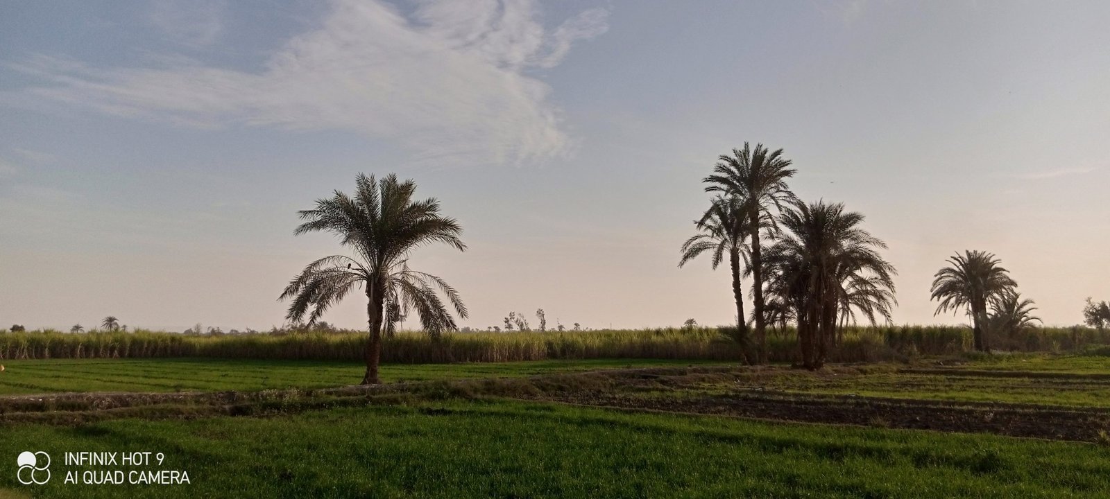 حالة الطقس في نجع حمادي