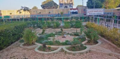 حديقة مدرسة في قنا