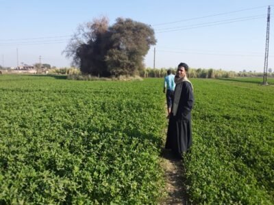 المكان المبارك في أبوتشت