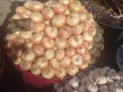 البصل وطرق تخزينه