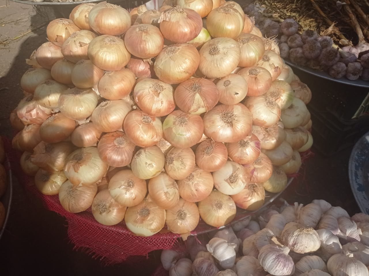 البصل وطرق تخزينه