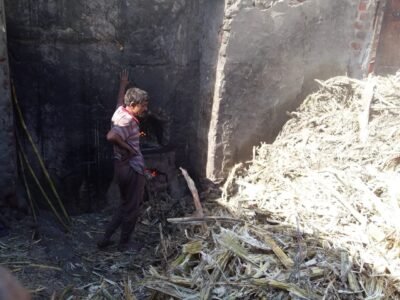 العسل الأسود