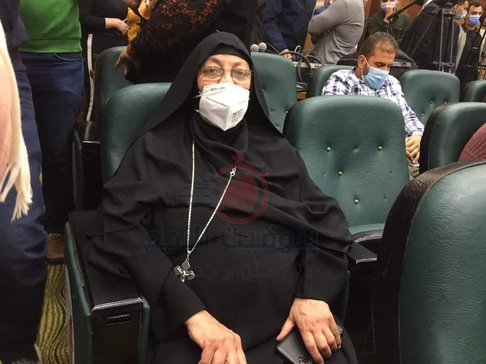 الأم المثالية