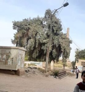 مجلس المدينة في نجع حمادي