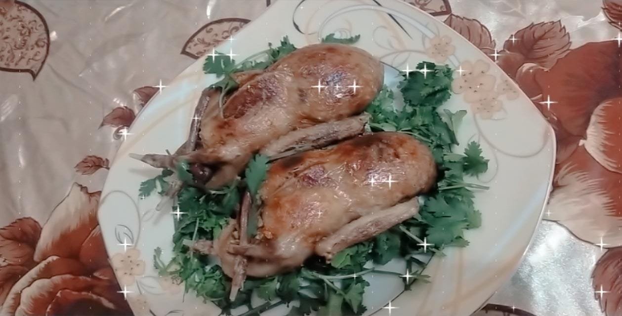 مدحت شلبي يحب الحمام قبل التعليق