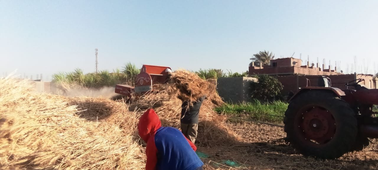 صوامع وشون قنا