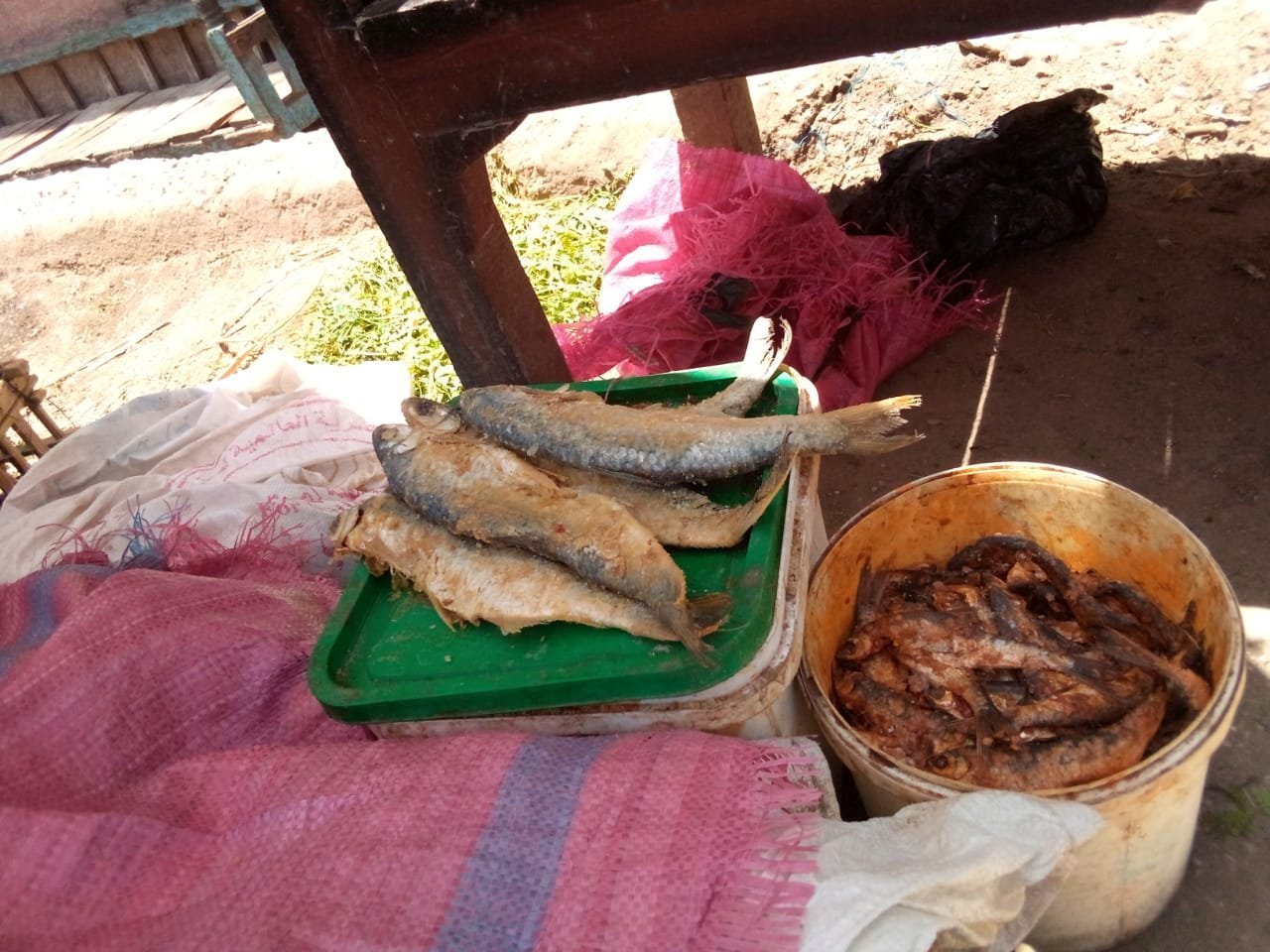 الملوحة في شم النسيم