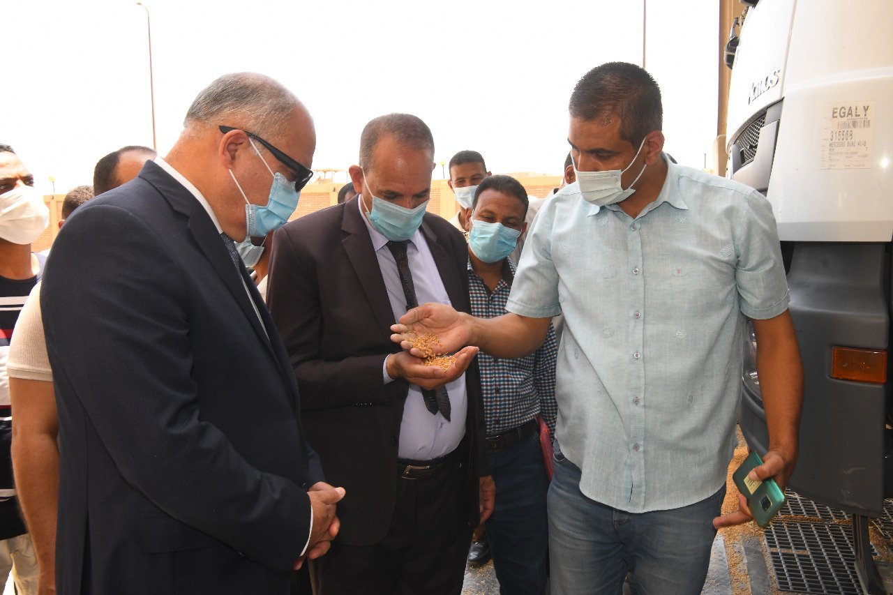 مرض الجلد العقدي بقنا