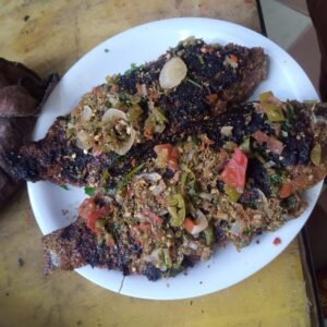 الأسماك في خزان نجع حمادي