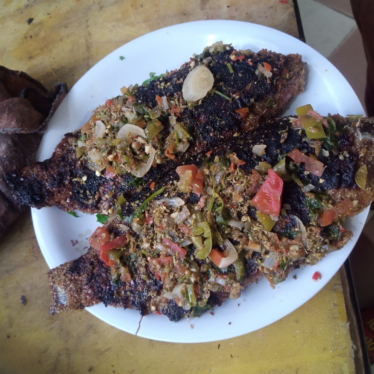 الأسماك في خزان نجع حمادي