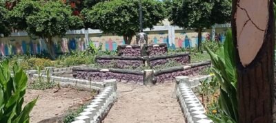 تجميل وتطوير مدرسة في نجع حمادي