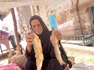 نجع حمادي وأبوتشت