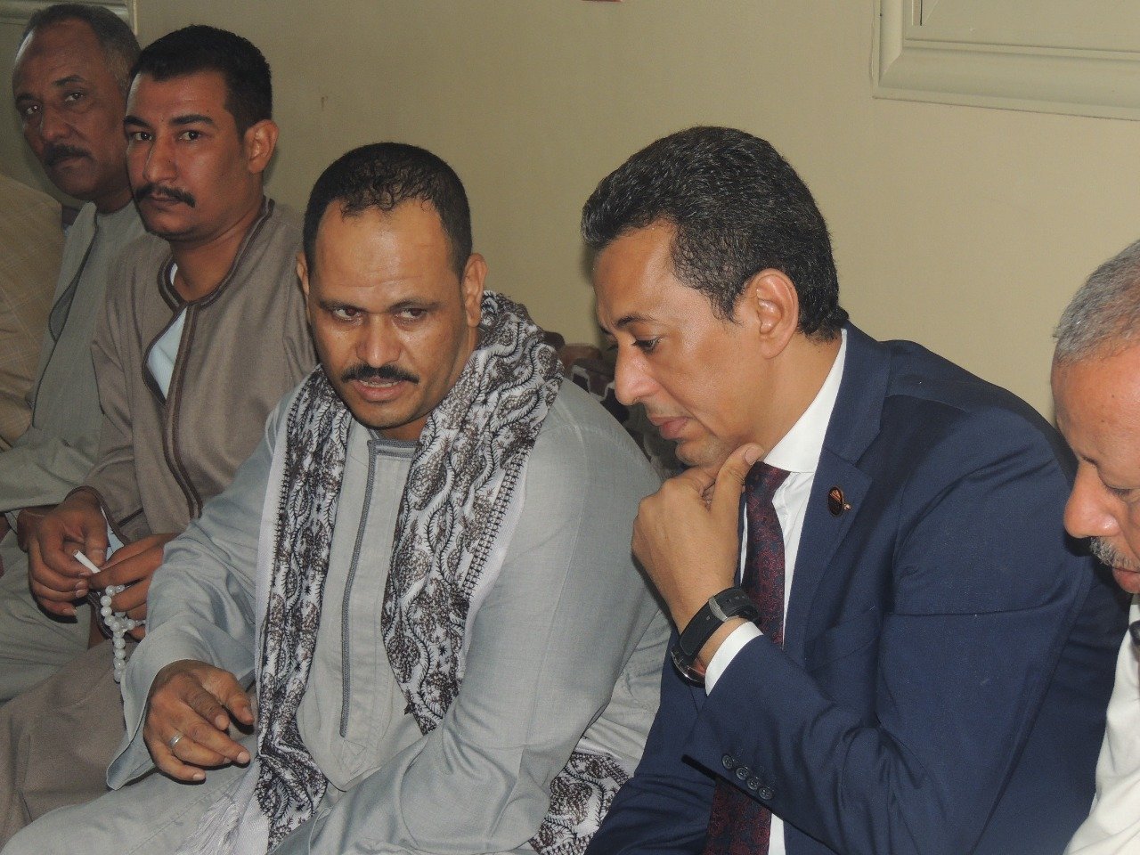 عضو مجلس الشيوخ