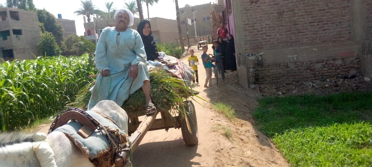 حرث الأرض الزراعية بقنا