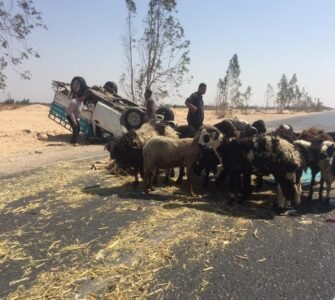 إنقلاب سيارة نقل