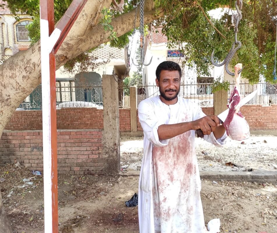 اللحمة البلدي في نجع حمادي