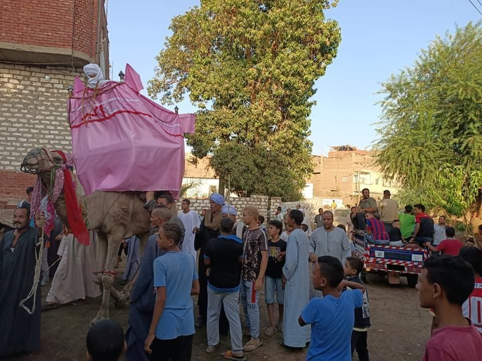 مجمع الأولياء في نجع حمادي