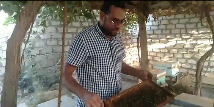 علاج مشكلات الكبد والكلى