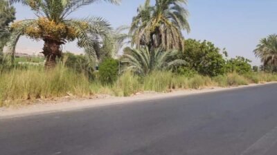 طريق الأربعين بنجع حمادي