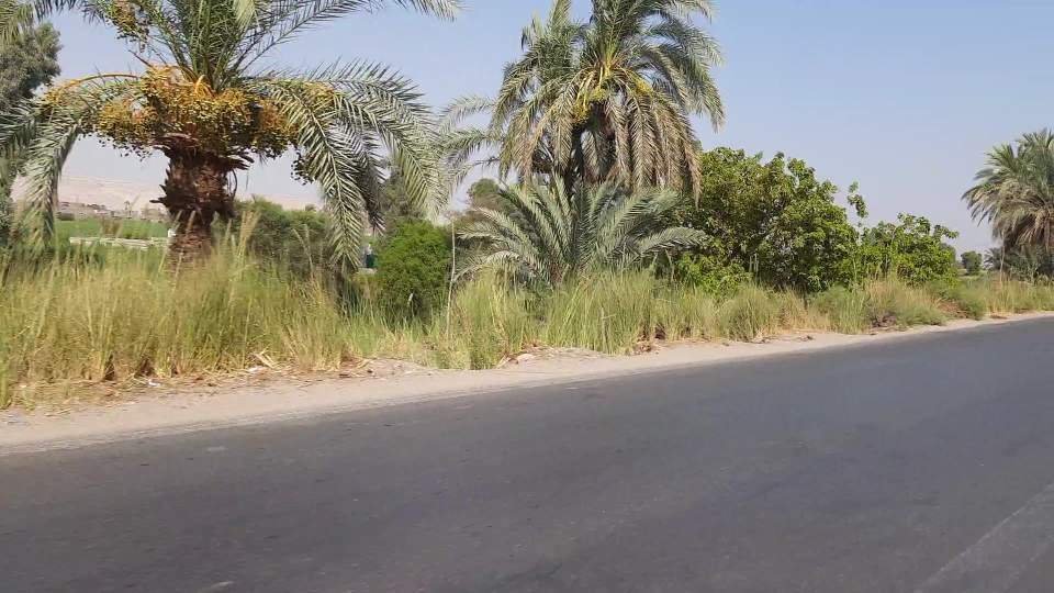 طريق الأربعين بنجع حمادي