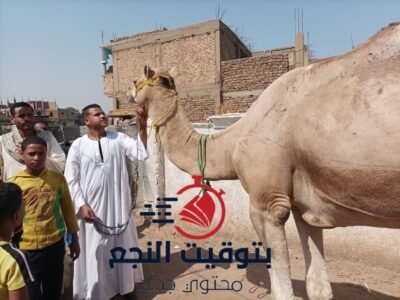 قلبظ