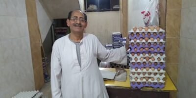 أسعار البيض