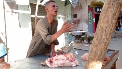 لحوم المعاشات في نجع حمادي