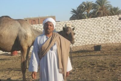 البدو في نجع حمادي