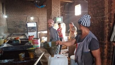 العسل الأسود بنجع حمادي