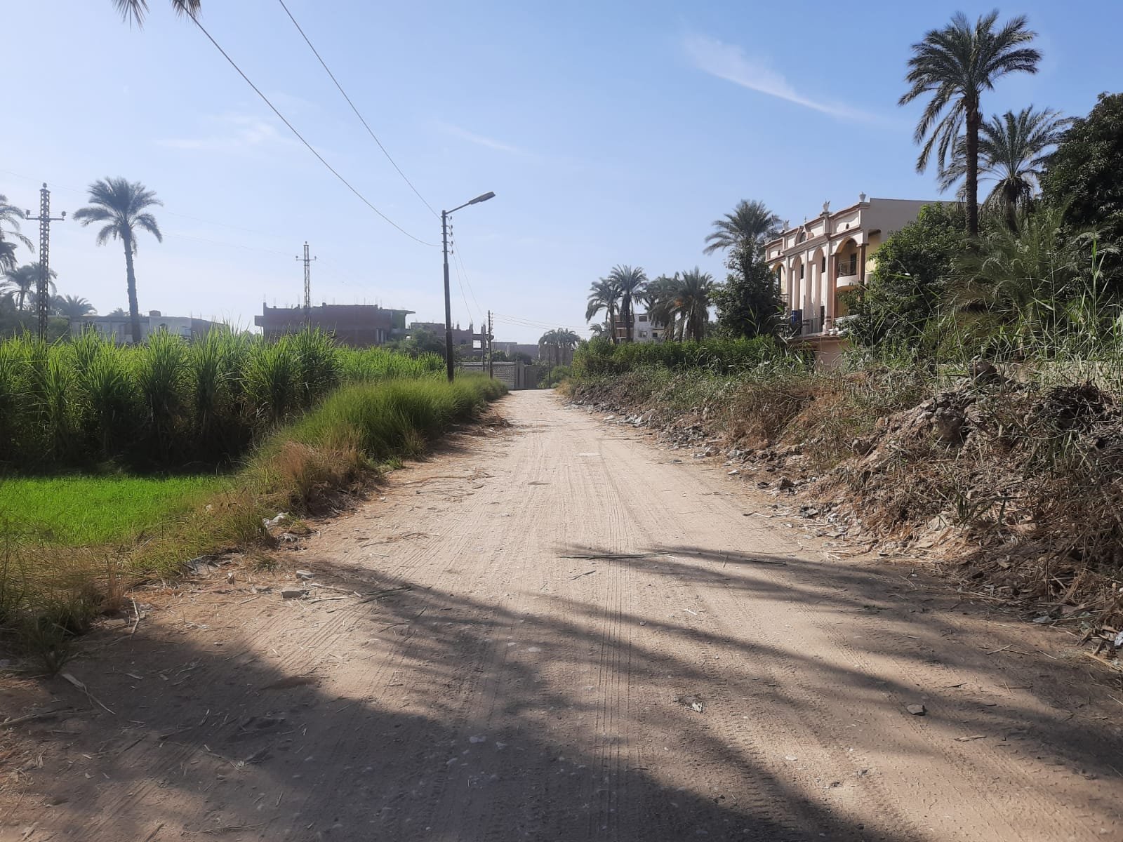 شهيد لقمة العيش في نجع حمادي