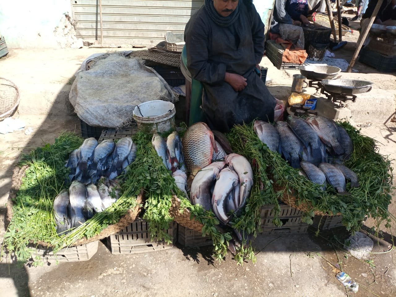 أسعار الأسماك